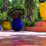 Color pots in the garden of Yves Saint Laurent