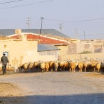 Heavy traffic in the village